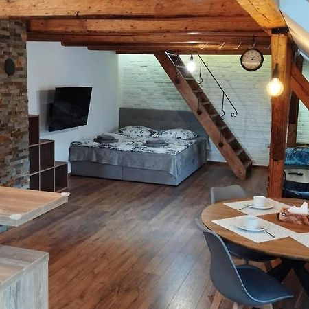 Apartman Albreit 2 Jáchymov Kültér fotó